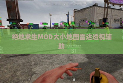 绝地求生MOD大小地图雷达透视辅助